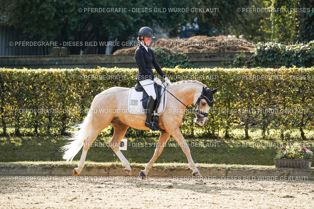 DSC04960 | Pferdegrafie