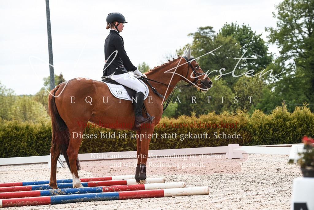 20230518_JK-Röhrsdorf-10-148 | Pferde- und Turnierfotografie in Westsachsen. Pferdeportraits, Auftragszeichnungen und intuitive Kunst.