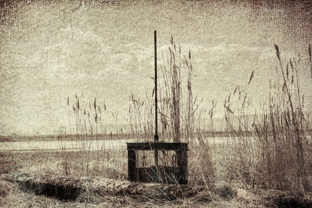 Altes Wehr im Esperstedter Ried | Von Schilfgras umwachsenes altes Wehr im Esperstedter Ried. - Realisiert mit Pictrs.com