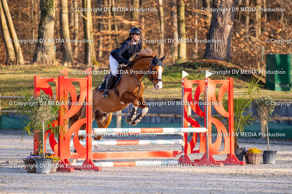 Kranichstein Tag 1-103 | dv-media-shop - Realisiert mit Pictrs.com