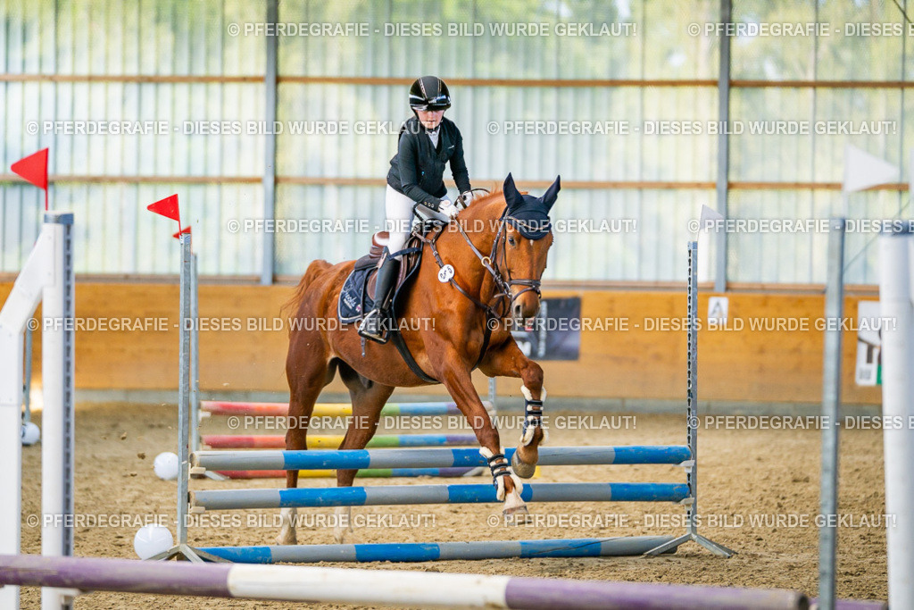 DSC01307 | Pferdegrafie