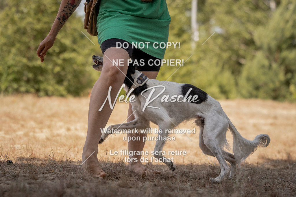 nelerasche_soDD2_429 | nelerasche