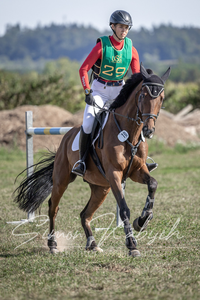 20250907-_3LI2984 | Tierfotografie Pferde, Hunde, Katzen, Haustiere.
Turnierfotografie Reitturniere, Reiten, Springreiten, Dressur in Hanau, dem Main-Kinzig-Kreis und dem Rhein-Main- Gebiet um Frankfurt