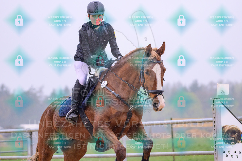 10042026-Mammendorf-Prfg14-0205 | Fokus Hufschlag Fotografie - Realisiert mit Pictrs.com