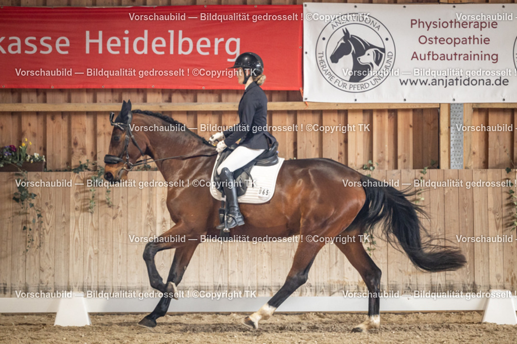 _D5A1430 | Emotionale Pferde- & People-Fotografie rund um Heidelberg, Leimen & Umgebung. Natürliche Fotos von Pferd, Mensch & Familie. Jetzt Termin sichern!