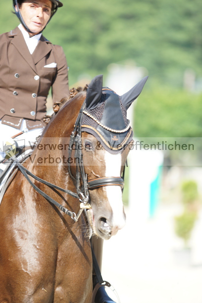 DSC02522 | equestrian-live-com