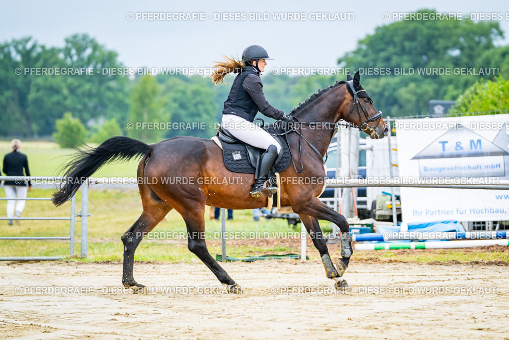 DSC01908 | Pferdegrafie