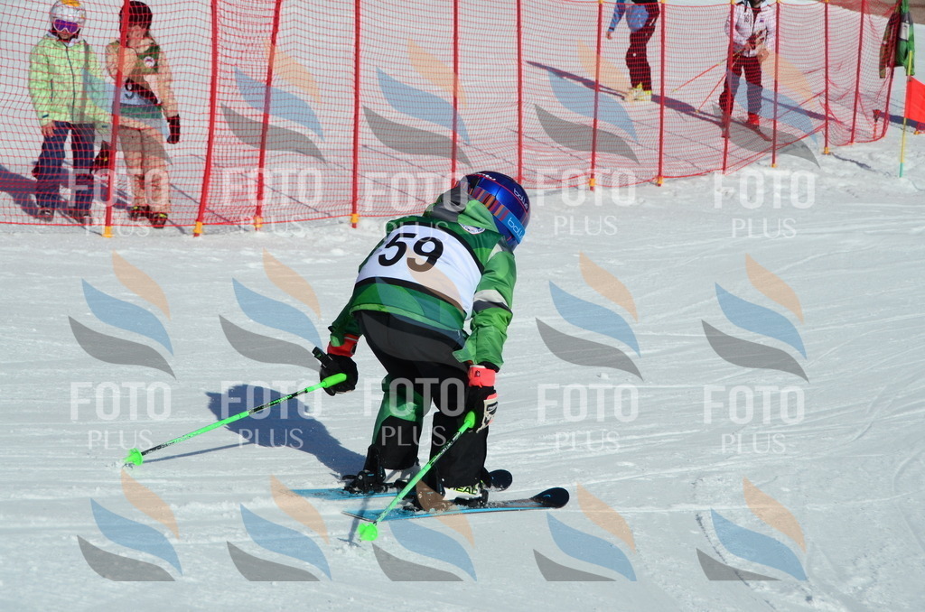 C5343 | holidayphoto