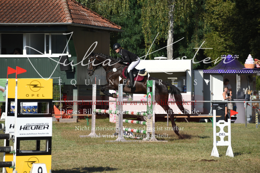 DSC_5382 | Pferde- und Turnierfotografie in Westsachsen. Pferdeportraits, Auftragszeichnungen und intuitive Kunst.