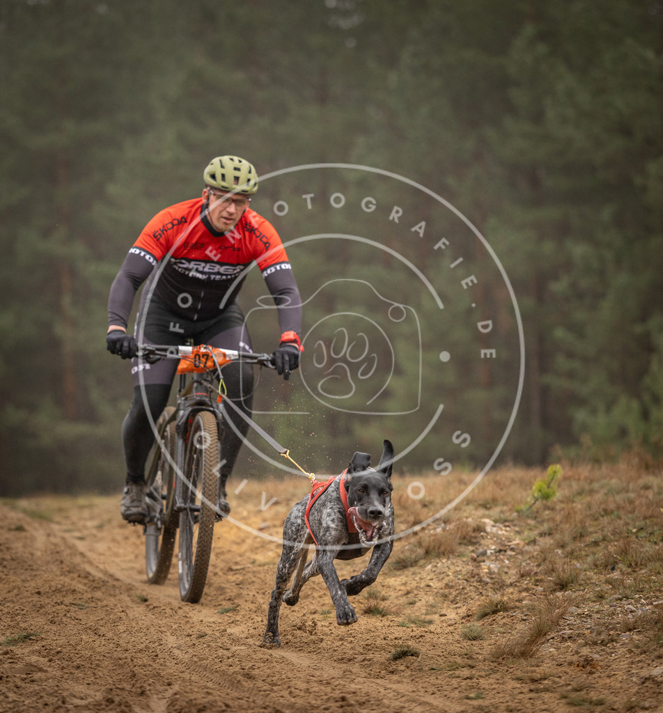 Pfotenfotografie_DV3A2600 | Hundefotografie, Tierfotograf, Pfotenfotografie, Fotoshooting Hund, Hunde Portrait, Hundesport, Hundeportraits, Heideshooting, Hunde, Sportfotograf, Hundefotograf, Turnierhundsport, THS,  - Realisiert mit Pictrs.com