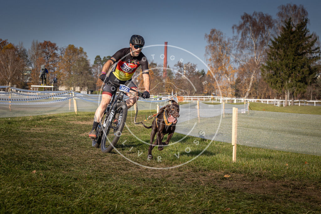 CaniXpix_0L8A7693 | Hundefotografie, Tierfotograf, Pfotenfotografie, Fotoshooting Hund, Hunde Portrait, Hundesport, Hundeportraits, Heideshooting, Hunde, Sportfotograf, Hundefotograf, Turnierhundsport, THS,  - Realisiert mit Pictrs.com