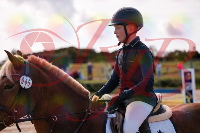 2026_10_03_Siefer-Hof_144548_Z81_21724249 | Professionelle Reitsport-, Turnier- und Eventfotografie von Robert Broda. Galerien mit ausgewählten und bearbeiteten Bildern direkt online ansehen und bestellen.
