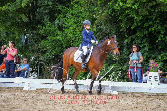DKP46283 | Turnierfotos kaufen im Webshop von Daniel Kuhl Photography – entdecke professionelle Reitsportfotos aus Turnieren & Events. Hochwertige Turnierbilder online bestellen & sichern. Jetzt Fotos von Reitsportturnieren kaufen!