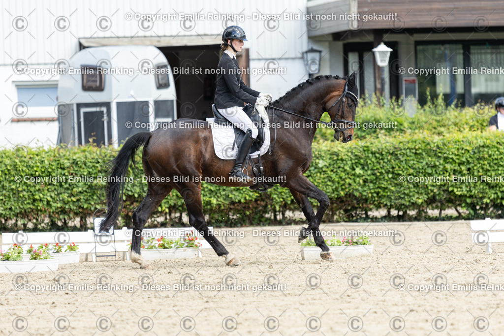 CL5A4846-2 | Emilia Reinking Fotografie - Realisiert mit Pictrs.com