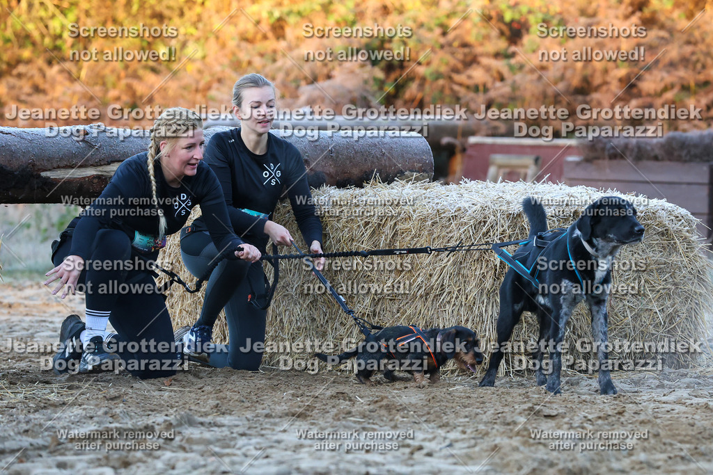 Dog Paparazzi - Strongdog 10-25-393 | Dog Paparazzi Jeanette Grottendiek Fotografie & Videografie - Realisiert mit Pictrs.com