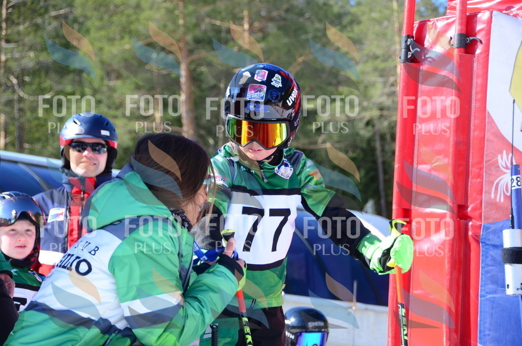 C5537 | holidayphoto