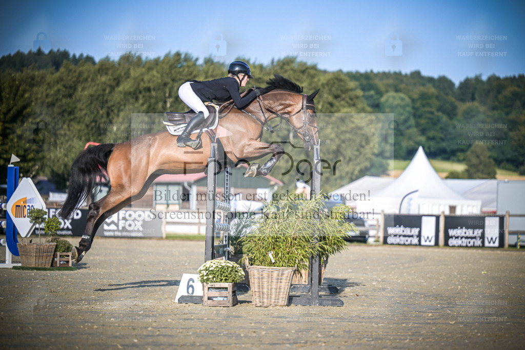 DOS_0368 | Entdecke hochwertige Reitturnierfotos von Foto Oger. Professionell, emotional und authentisch – jetzt Lieblingsmomente im Shop bestellen. - Realisiert mit Pictrs.com