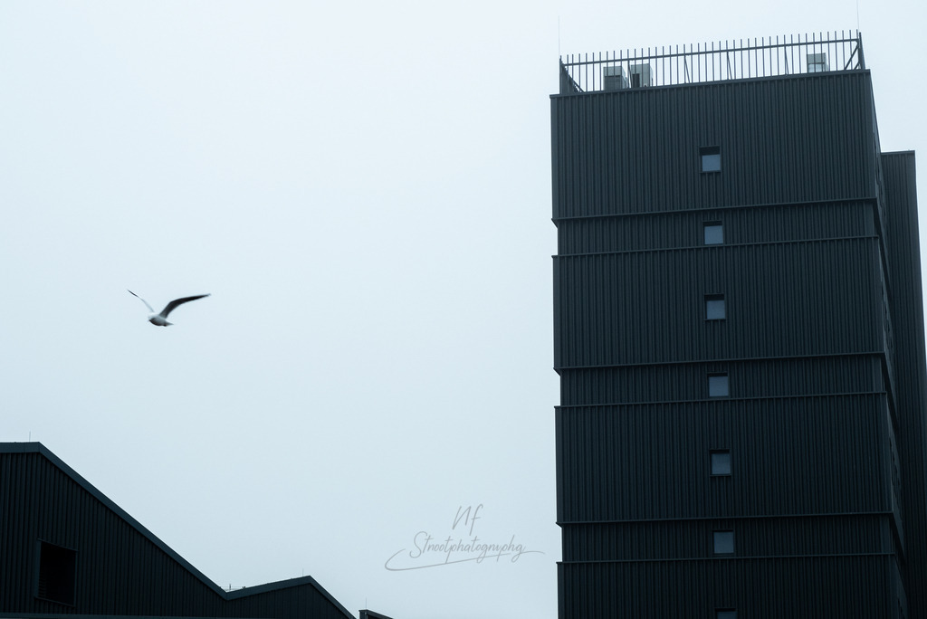 _DSF0042 (1) | ​Minimalistische Street Photography & Urban Art von Nils Friederichs. Entdecke hochwertige Fotokunst-Prints und Wandbilder aus der Region Hildesheim & Hannover. - Realisiert mit Pictrs.com