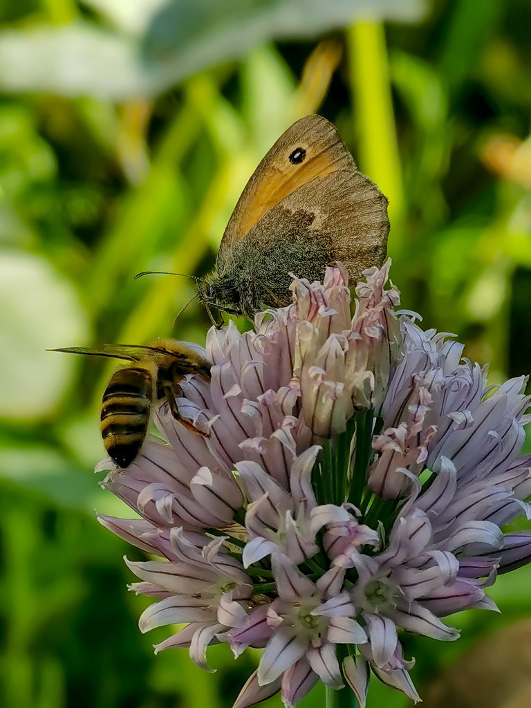 PSX_20230819_233612 | mtkfoto_ - Realisiert mit Pictrs.com