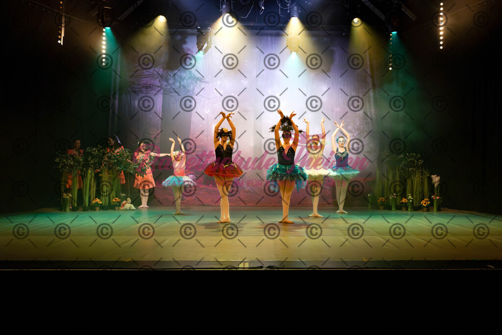 Ballettaufführung-17 | Bildershop Lem'n Entertainment - Realisiert mit Pictrs.com