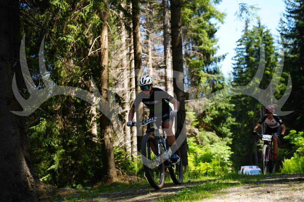 FC101515 | Fotogalerie der Treibjagd im Dunkelwald - Dein MTB Etappenrennen im Erzgebirge - Realisiert mit Pictrs.com