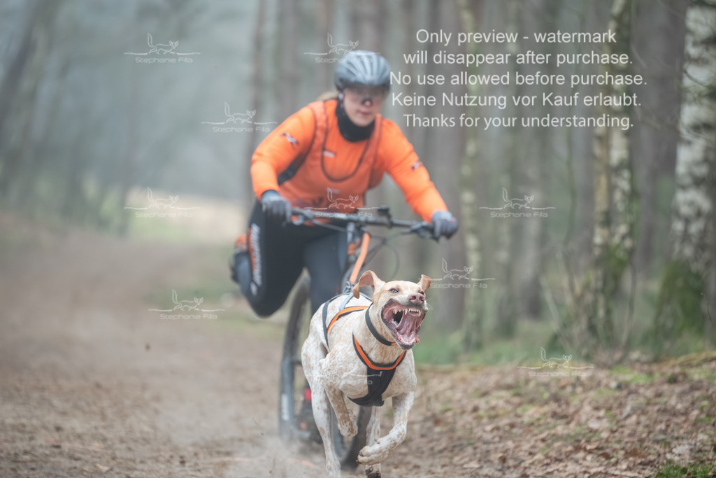 Scooter1-149 | stephaniefillaphotographie - Realisiert mit Pictrs.com