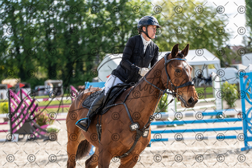 KPT_4731 | andre_photographic