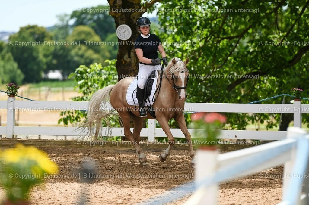 20230715_09_Dressur-WB_0534 | equistock