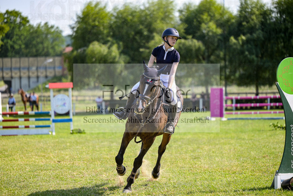 Reitturnier Voxtrup | Entdecke hochwertige Reitturnierfotos von Foto Oger. Professionell, emotional und authentisch – jetzt Lieblingsmomente im Shop bestellen.Deutschlandweite Turnierfotografie. - Realisiert mit Pictrs.com