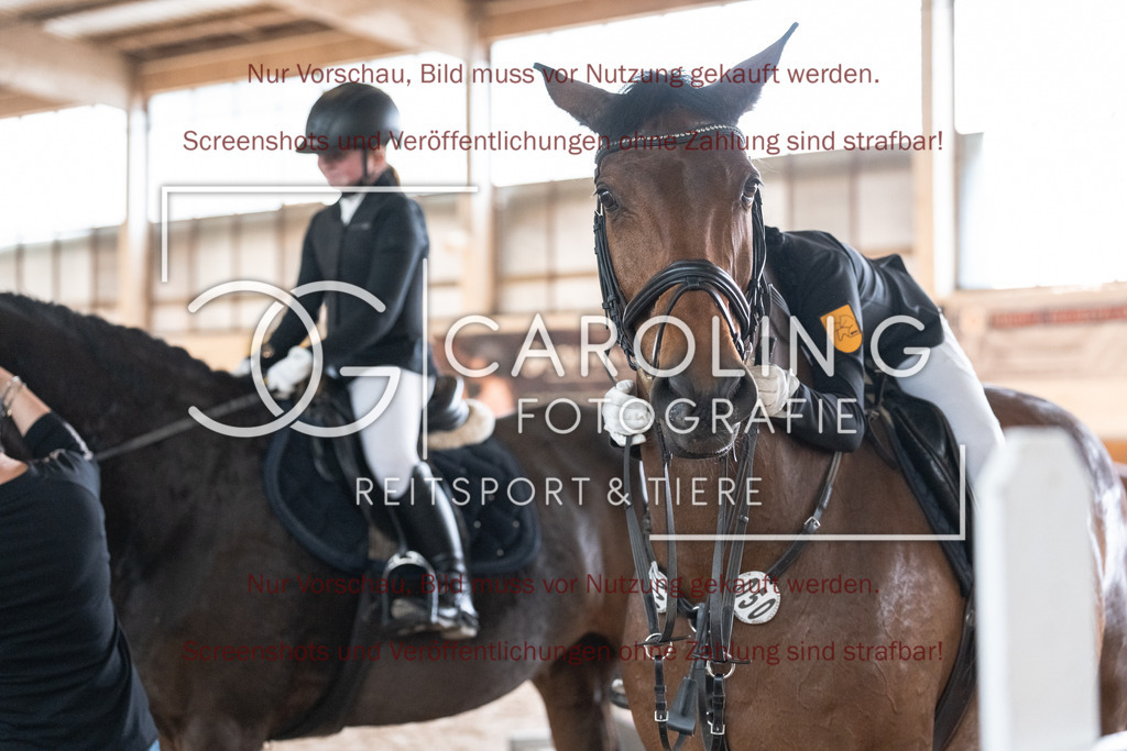 DSC00624 | Reitturnier_Göppingen_April_2026, Meike_Höfle, Fajana_14