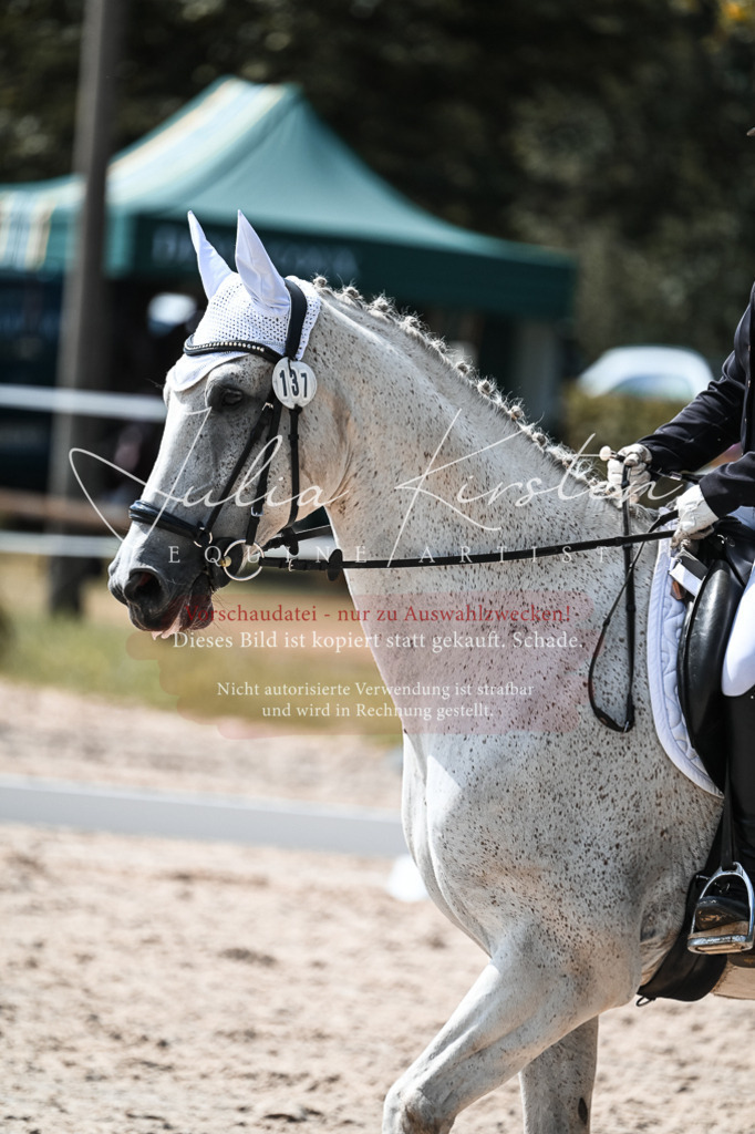 DSC_5301 | Pferde- und Turnierfotografie in Westsachsen. Pferdeportraits, Auftragszeichnungen und intuitive Kunst.