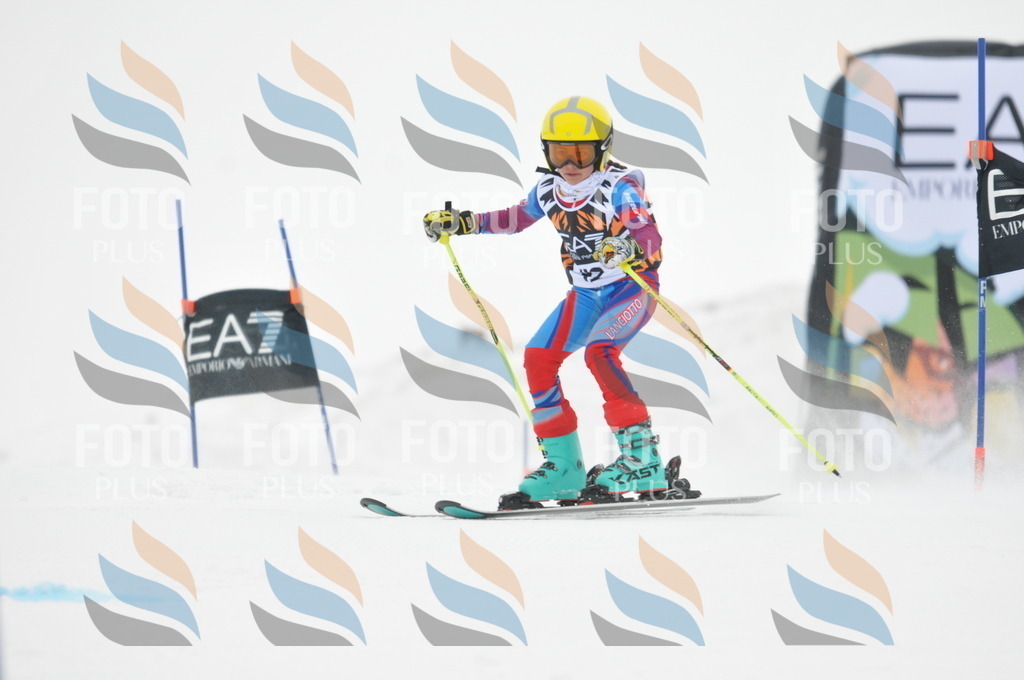 DSC_7643 | holidayphoto