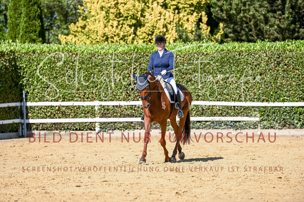 Schugtsche-Aluta25-50.Dressurpferdeprf.L-126 | Schugtsche Fotografie - Realisiert mit Pictrs.com