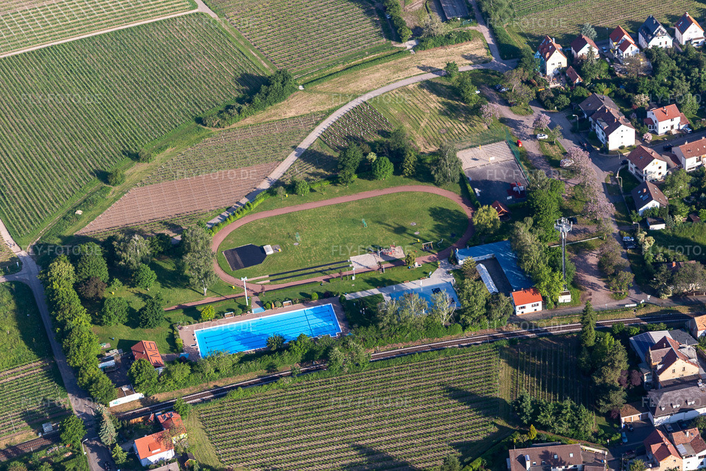 Luftbild: Freibad im Ortsteil Mußbach in Neustadt im Bundesland Rheinland-Pfalz in Deutschland. Foto: IMG_114183.jpg vom 26.05.2019 durch Werner Riehm/FLY-FOTO.de