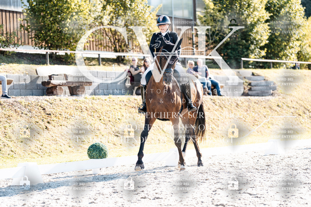 CK906127 | Turnierfotografie Pferdefotografie Trier Rheinland-Pfalz Pferdesport Reitsport Tierfotografie Sportfotografie Pferdevideo Pferdevideografie Equestrianvideography equestrianphotography  - Realisiert mit Pictrs.com
