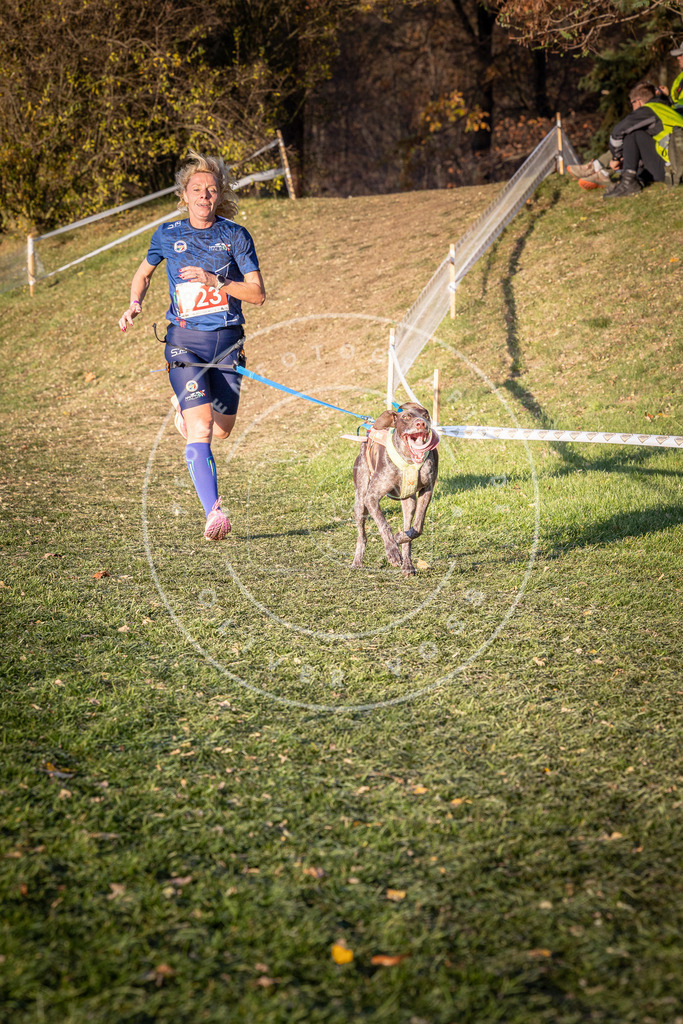 CaniXpix_0L8A0573 | Hundefotografie, Tierfotograf, Pfotenfotografie, Fotoshooting Hund, Hunde Portrait, Hundesport, Hundeportraits, Heideshooting, Hunde, Sportfotograf, Hundefotograf, Turnierhundsport, THS,  - Realisiert mit Pictrs.com