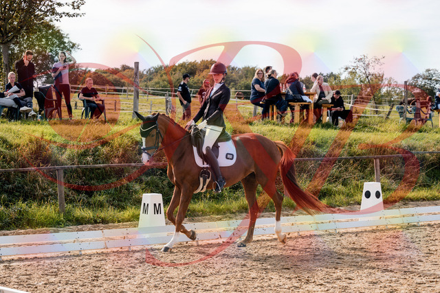 2026_10_03_Siefer-Hof_133000_Z63_91833407 | Professionelle Reitsport-, Turnier- und Eventfotografie von Robert Broda. Galerien mit ausgewählten und bearbeiteten Bildern direkt online ansehen und bestellen.