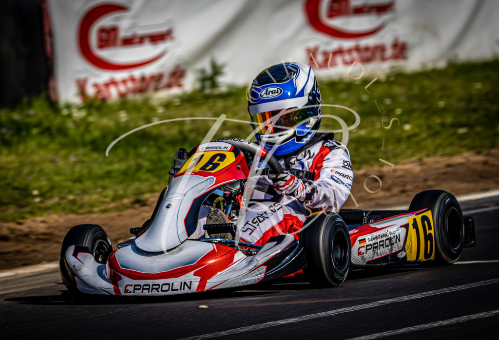 BF360B16-3D4F-481C-B72E-3DF8A7C731D7 | traudl_s_fotos