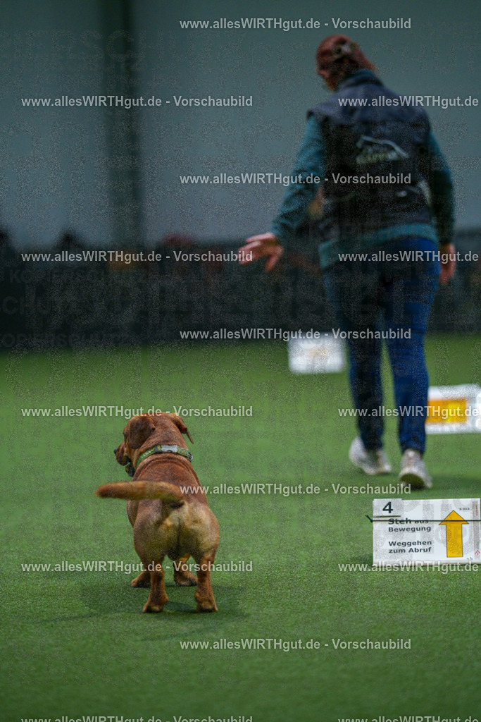 7R507152 | Professionelle Tierfotografie in Mönchengladbach von Daniel Wirth (allesWIRTHgut). Liebevolle & natürliche Bilder von Hunden & Katzen für unvergessliche Erinnerungen.