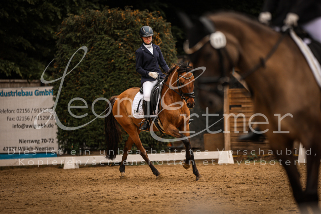 DoDrE00368 | Leoni Ertmer Photography - Realisiert mit Pictrs.com