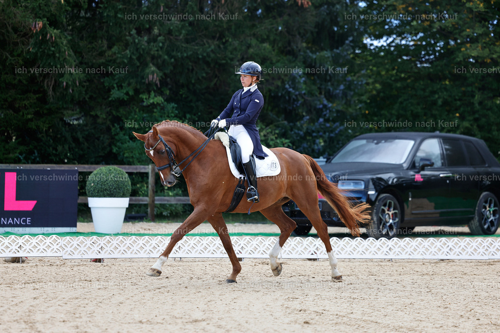10-013-ST.GEORG SPECIAL -StoibPH-3114 | working equitationturnier fotograf videograf stoibphotography marixx film working equitation deutschland reitsport turnierfotografie eventfotografie equestrian events