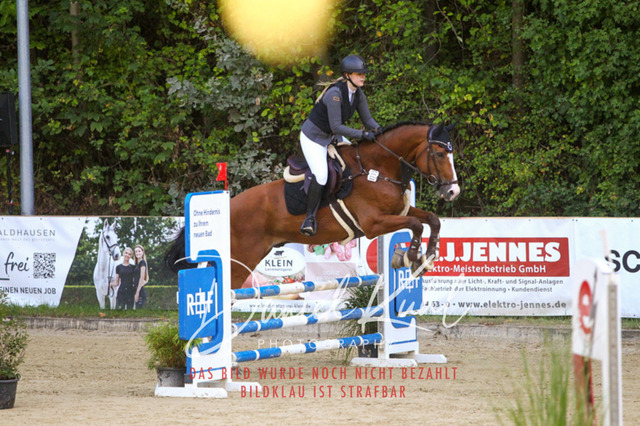 DKP42717 | Deine Turnierfotos vom Reitturnier online kaufen: Dressur, Springen & Siegerehrung. Professionelle Pferdefotografie aus dem Rheinland – als Download & Print.Alternative: Turnierfotograf für den Pferdesport: Finde deine Fotos von Dressur- und Springturnier