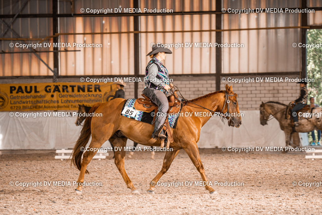 ZH100172 | dv-media-shop - Realisiert mit Pictrs.com