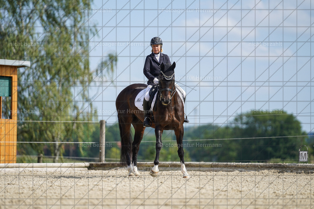 20230826-FAH06062 | Forstinning, 2023, Dressurturnier, Turniersportbilder, Turnierfotografen Bayern, Fotoagentur Herrmann, Reitsportfotografie, Turnierbilder
