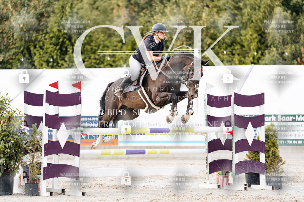 CK903866 | Turnierfotografie Pferdefotografie Trier Rheinland-Pfalz Pferdesport Reitsport Tierfotografie Sportfotografie Pferdevideo Pferdevideografie Equestrianvideography equestrianphotography  - Realisiert mit Pictrs.com