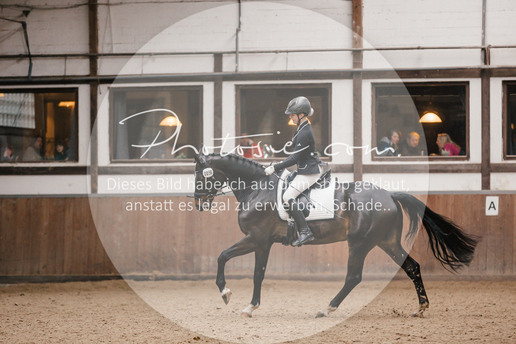 3I6A7875 | Stimmungsvolle Portraits und Reitsportfotografie im Ruhrgebiet und im Münsterland.

Pferdefotografie, Hundefotografie, Tierfotografie, Reportagen, Portraits von Tier und Mensch, Turnierfotografie in Bochum, Recklinghausen, Marl, Haltern am See, Dülmen.. - Realisiert mit Pictrs.com