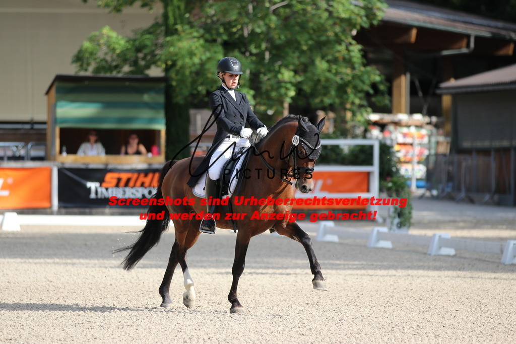 IMG_1043 | lmwpictures - Realisiert mit Pictrs.com