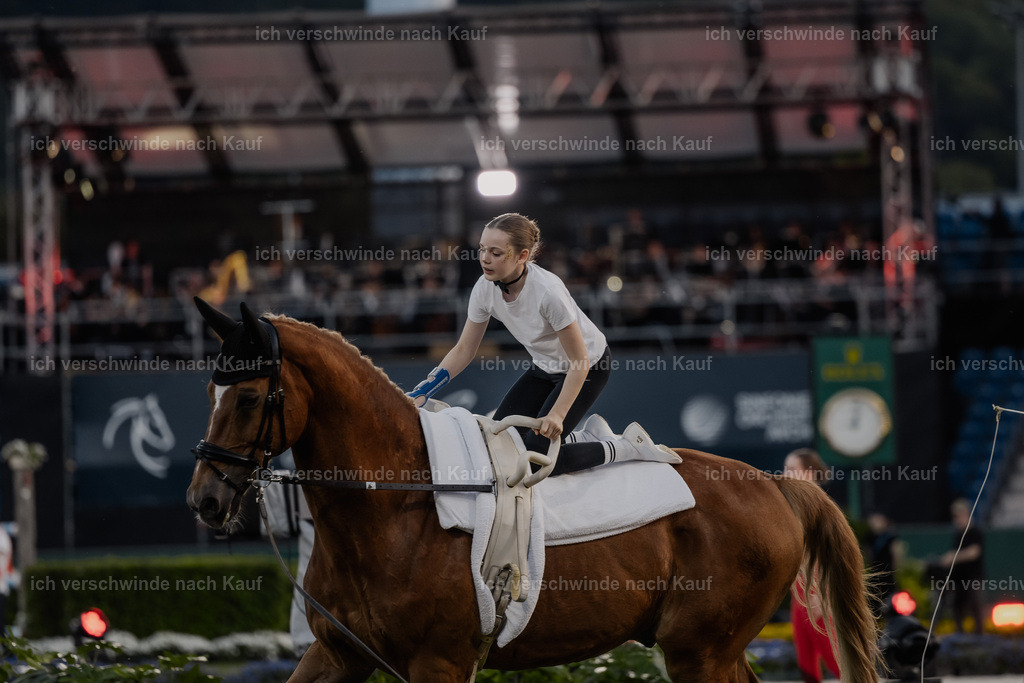 TSCHIO26_PferdundSinfonie_Stoibphotography_AM11033.jpg | working equitationturnier fotograf videograf stoibphotography marixx film working equitation deutschland reitsport turnierfotografie eventfotografie equestrian events