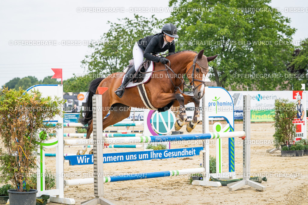 DSC09409 | Pferdegrafie