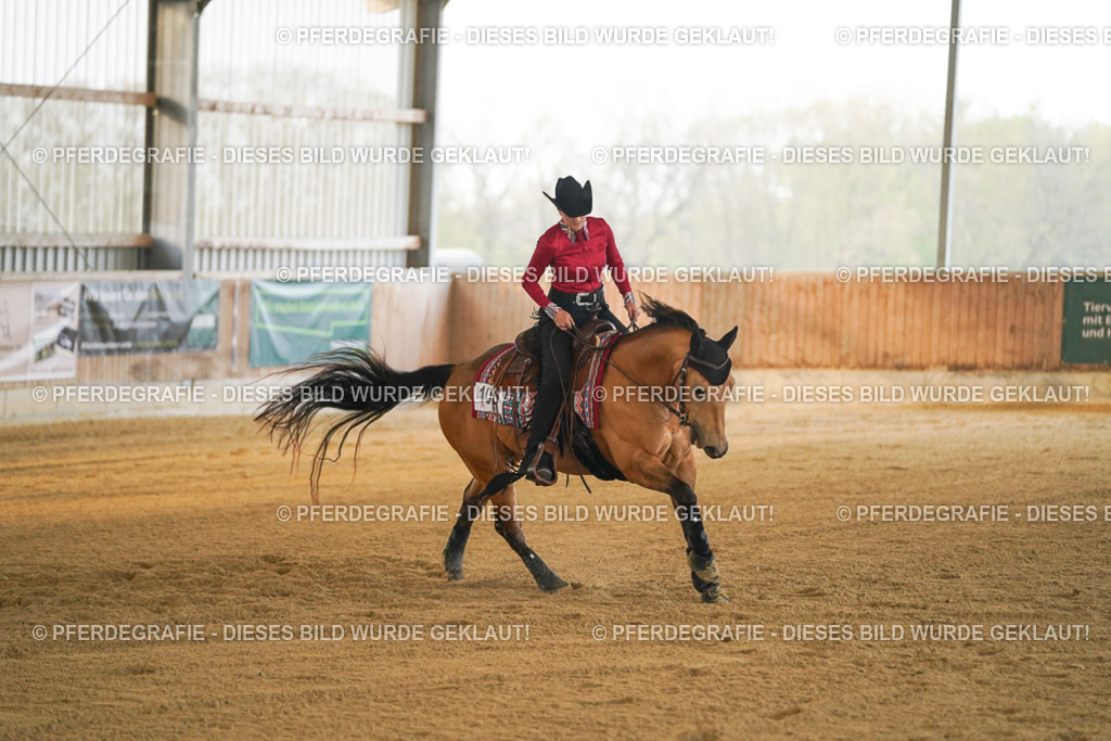 DSC08573 | Pferdegrafie